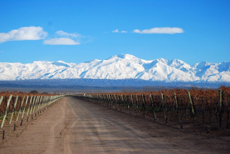 Razones para visitar Mendoza en invierno 5 motivos para viajar